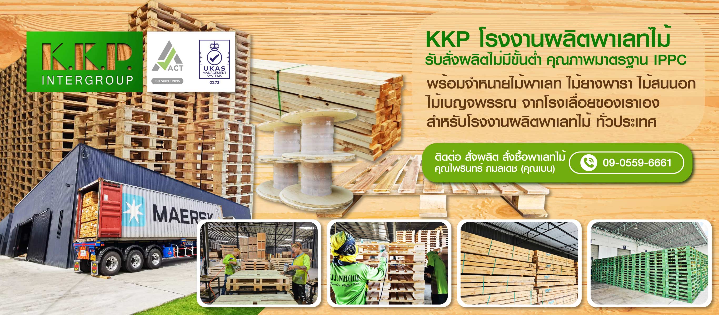 โรงงานพาเลทไม้ ระยอง