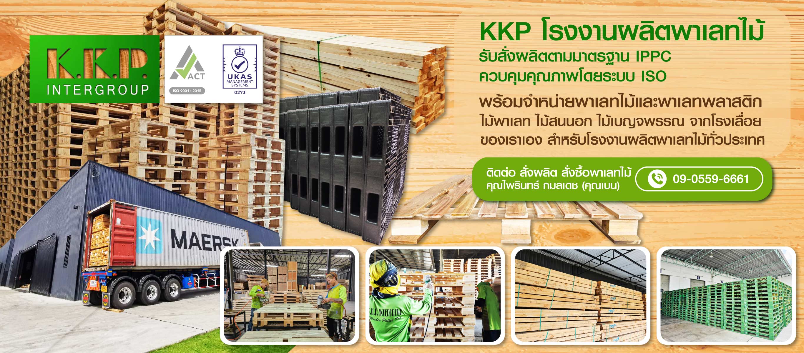 โรงงานพาเลทไม้ ระยอง